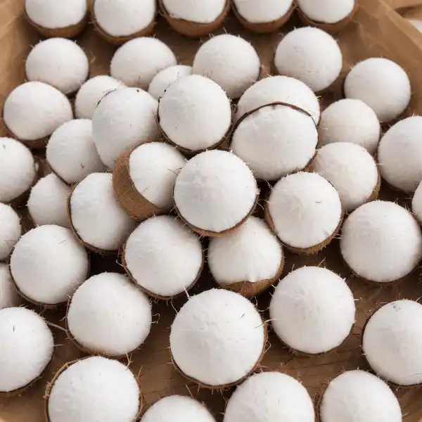 freepik__dry-ball-coconut__1941_600x600.webp