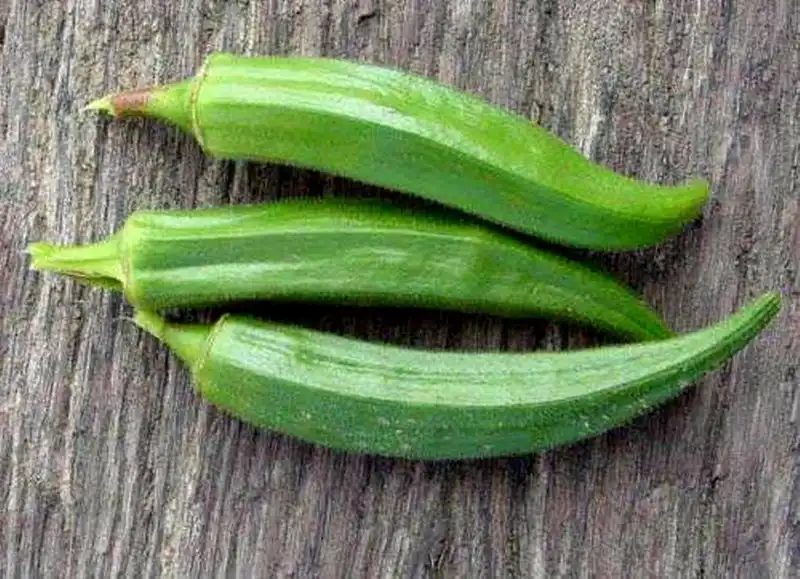 okra_800x579.webp